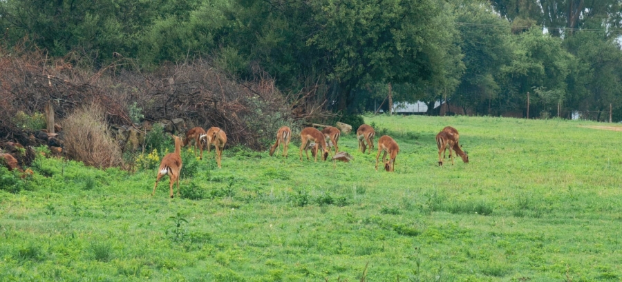 4 Bedroom Property for Sale in Potchefstroom Rural North West